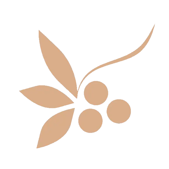 Macadamy Logo